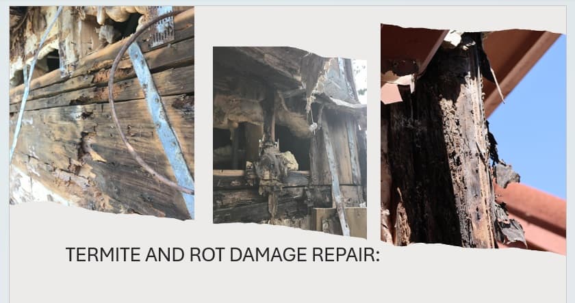 Termite Damage Repair